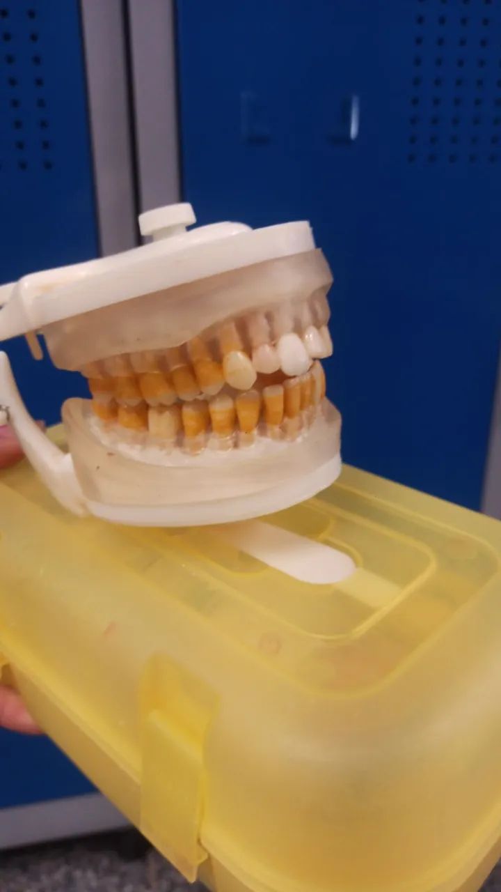 Manequim odontológico - Foto 4