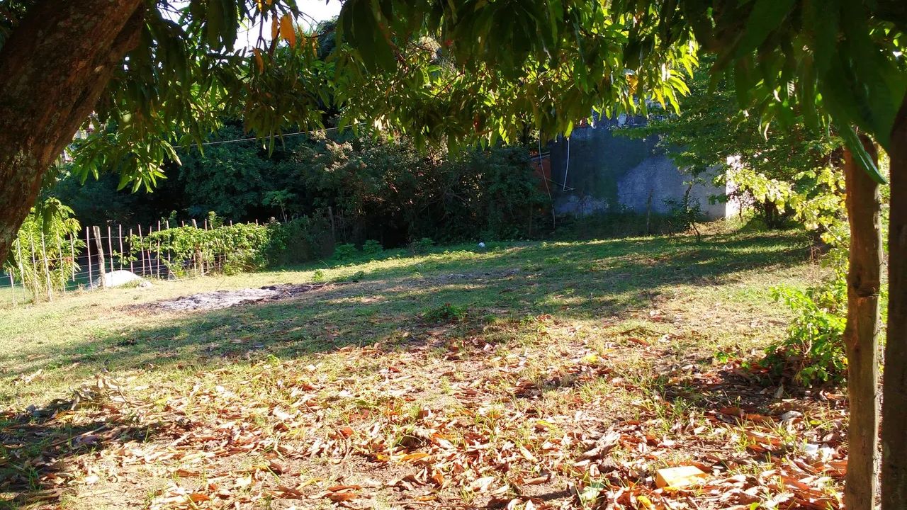 Terreno de Esquina - Foto 5