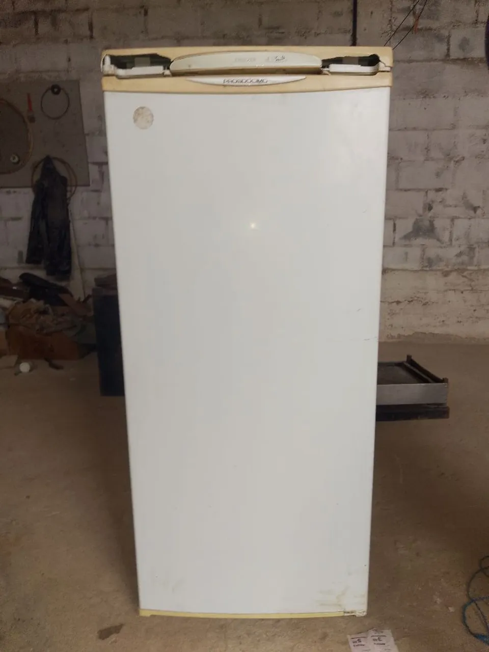 Freezer vertical
