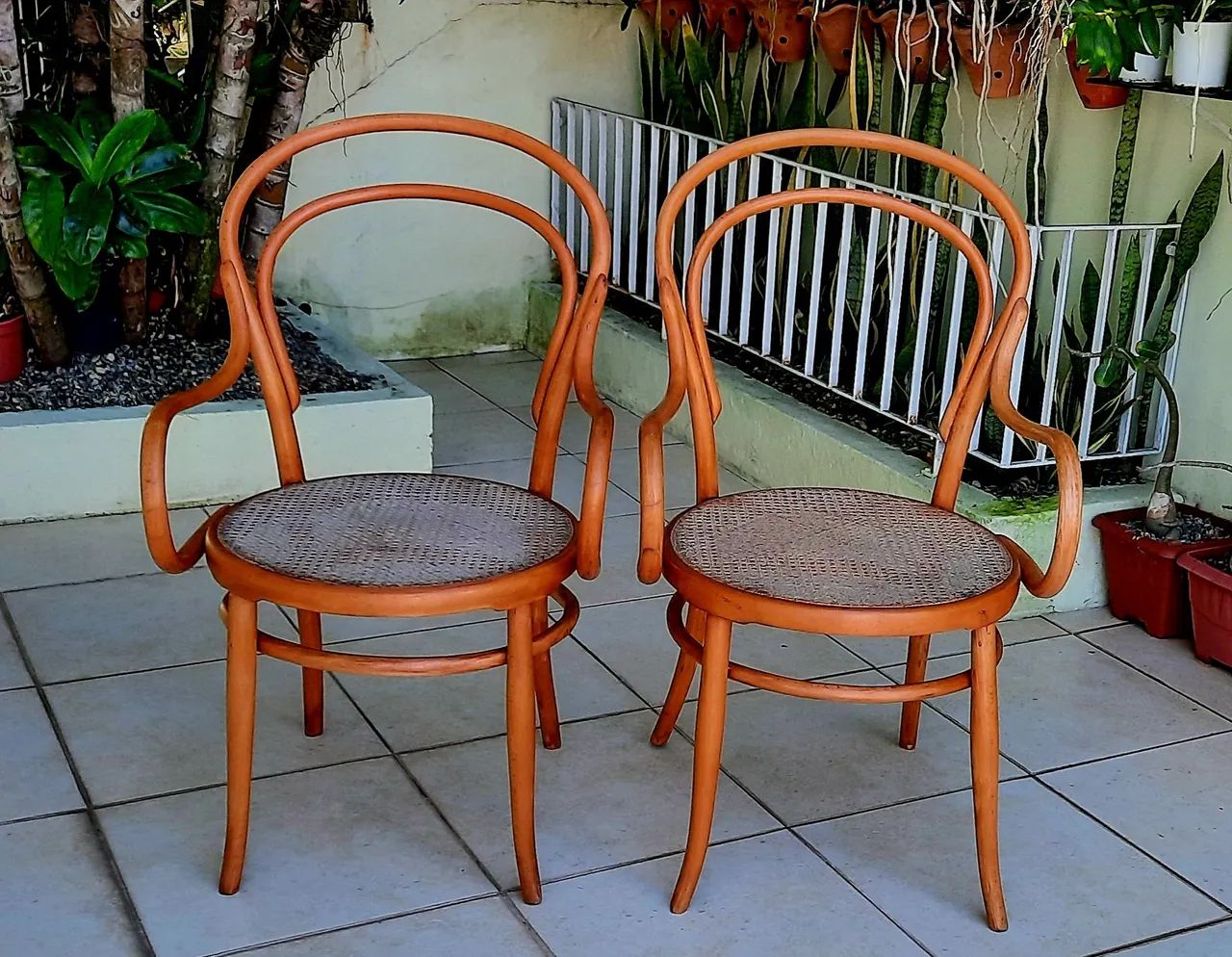 Par de Cadeiras de Braços Thonart Modelo Thonet