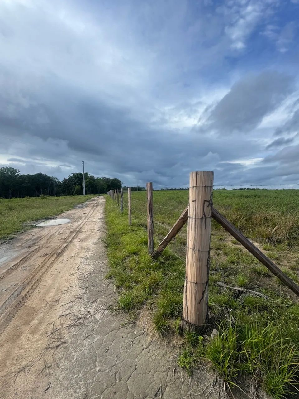 Fazenda à Venda no Porto Grande, Macapá:* - Foto 5