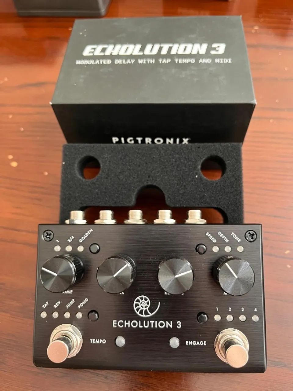 Pedal Echolution 3 - Pigtronix