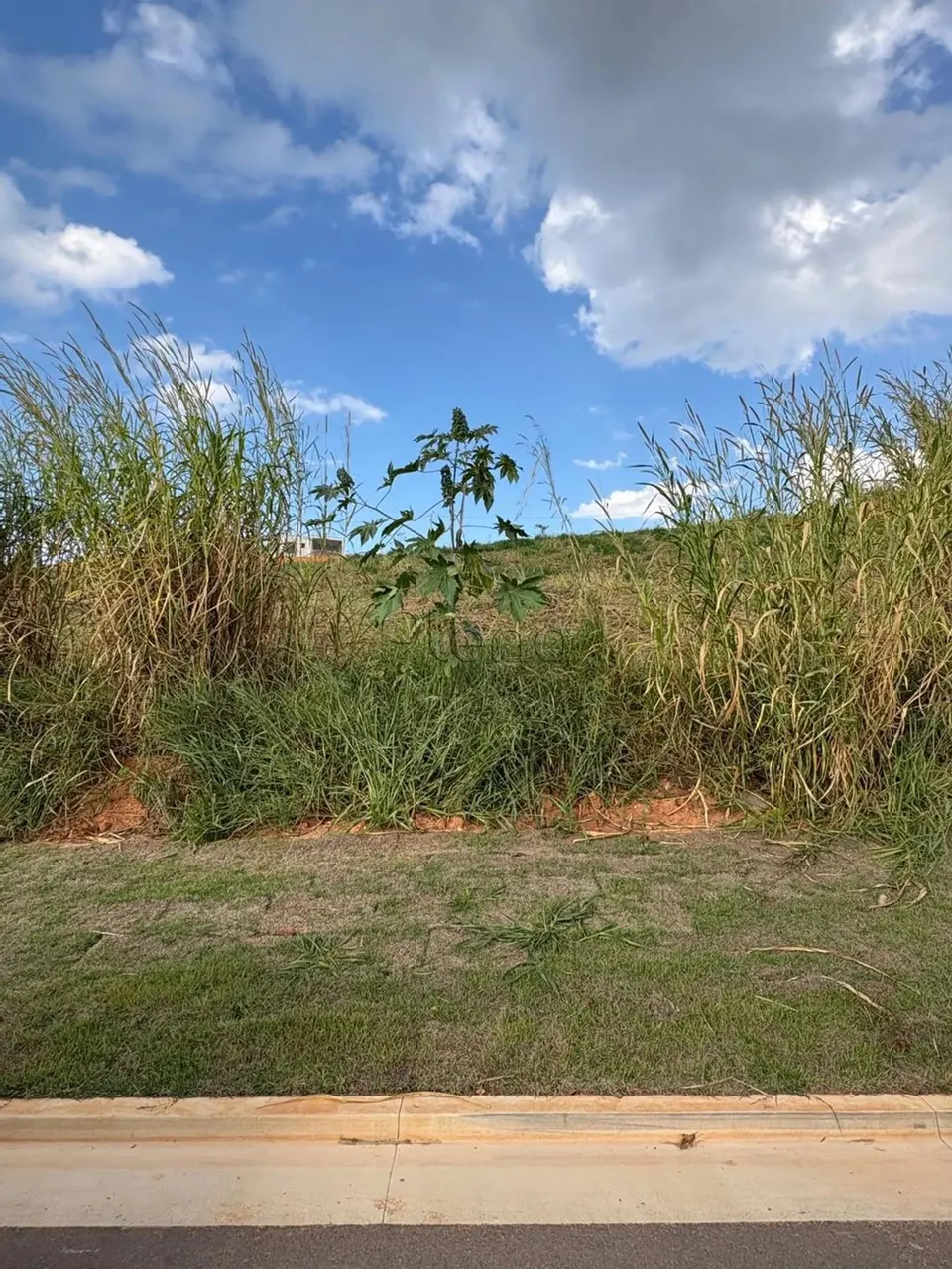 Terreno à venda com 415,47m² no Alphaville Dom Pedro 0 em Campinas