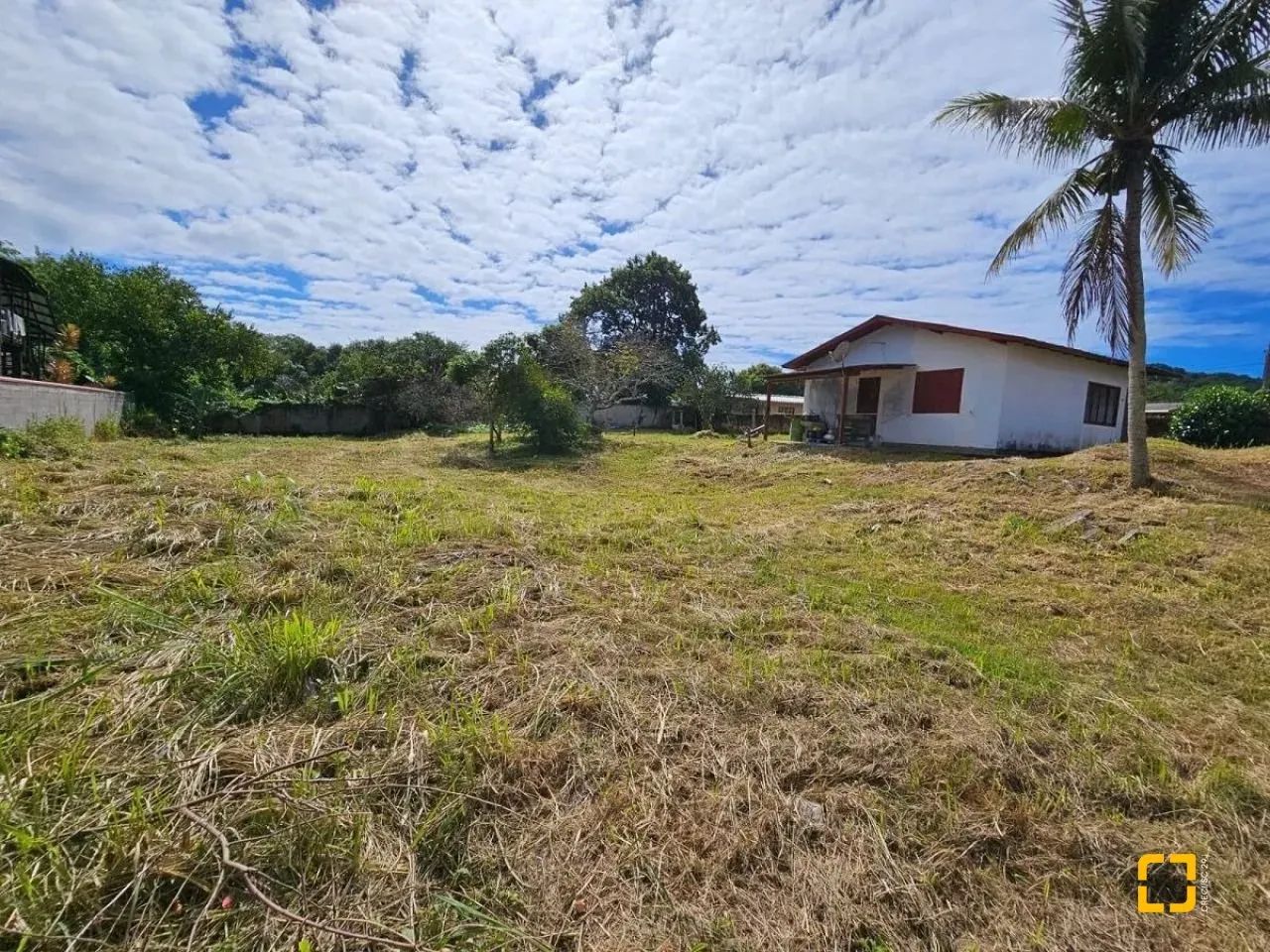 Terrenos Residenciais em Cachoeira Do Bom Jesus - Foto 3