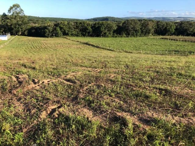 Seu refúgio no campo - Chácara de 10.000m² em Arroio dos Ratos/RS - Foto 4