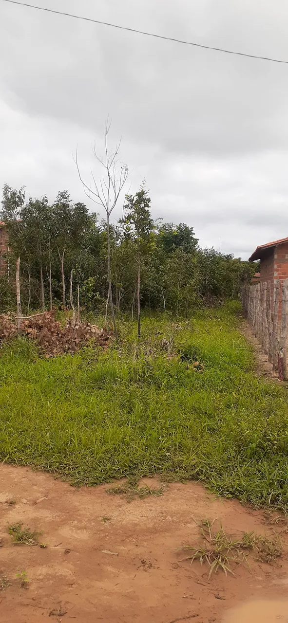 LOTE 10 X 45 DEMERVAL LOBÃO 