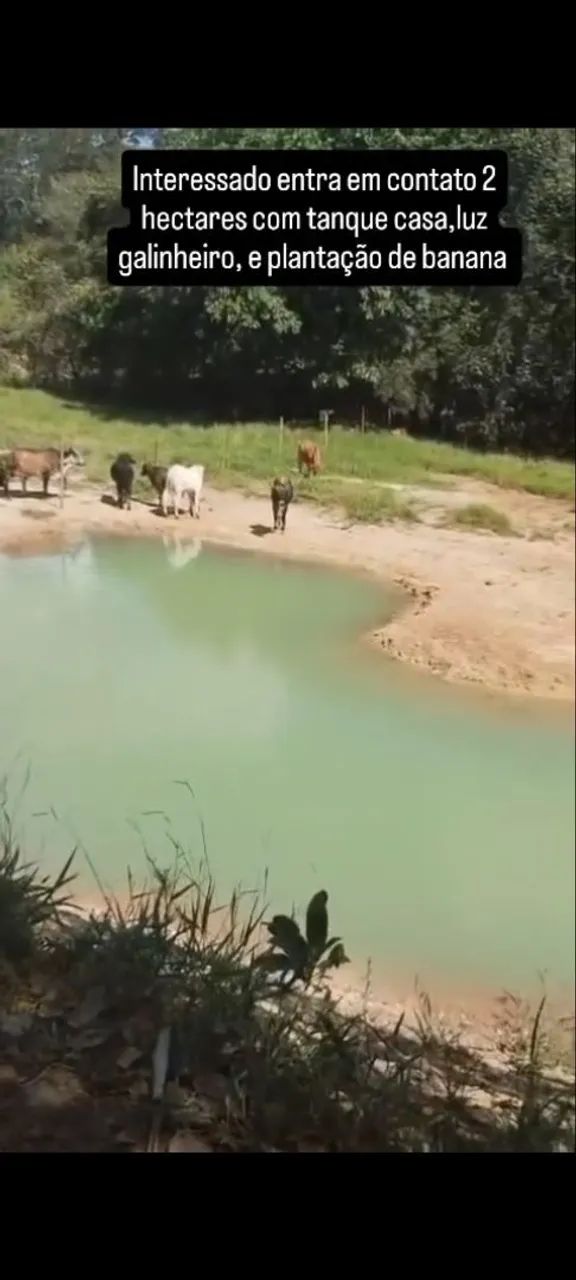 Chácara paraíso das águas  - Foto 3