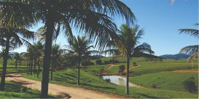 Terreno em loteamento Serramar Rio Dourados a partir de 360m2 - Foto 3