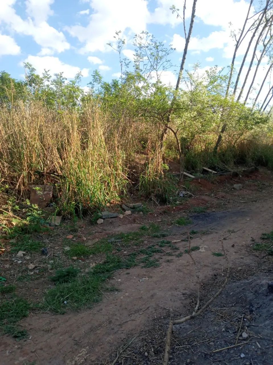 Foto - Piracicaba - Residencial Paineiras