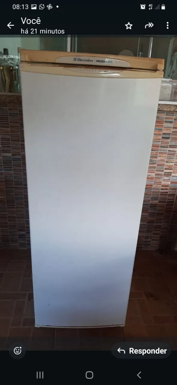 Freezer Electrolux Prosdocimo