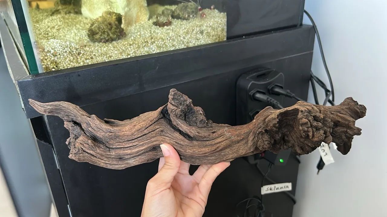 Troncos naturais para aquário  - Foto 2