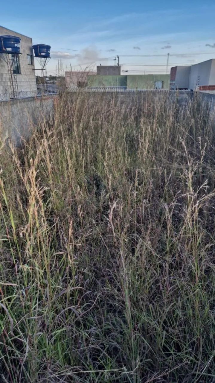 Lote Cidade Industrial - Foto 4