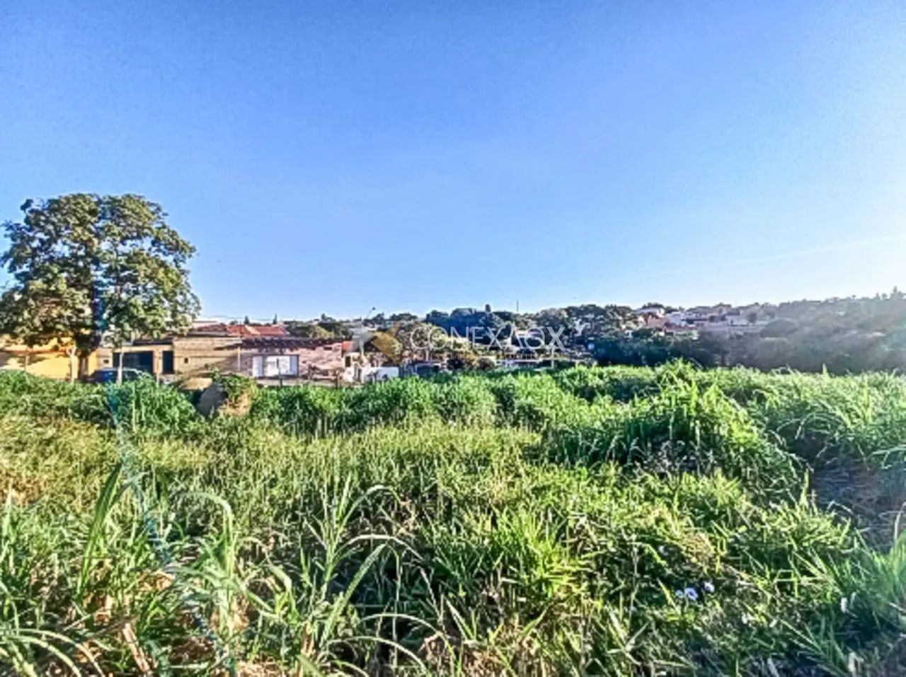 área - Chácara Primavera - Campinas - Foto 2