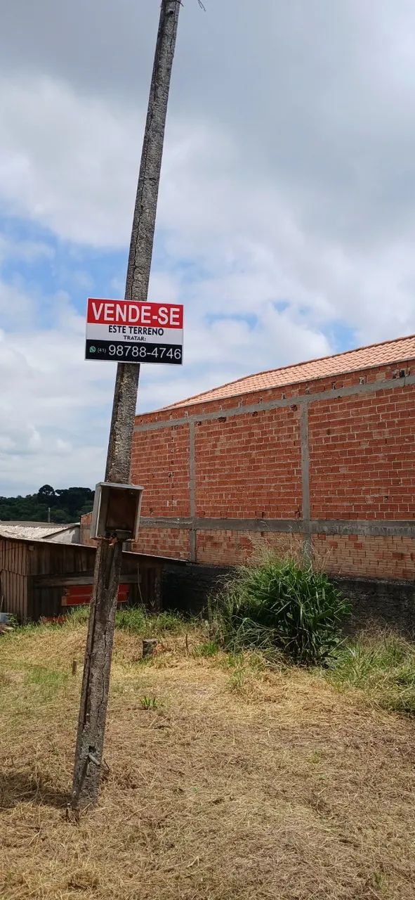 Foto - Almirante Tamandaré - Lamenha Grande