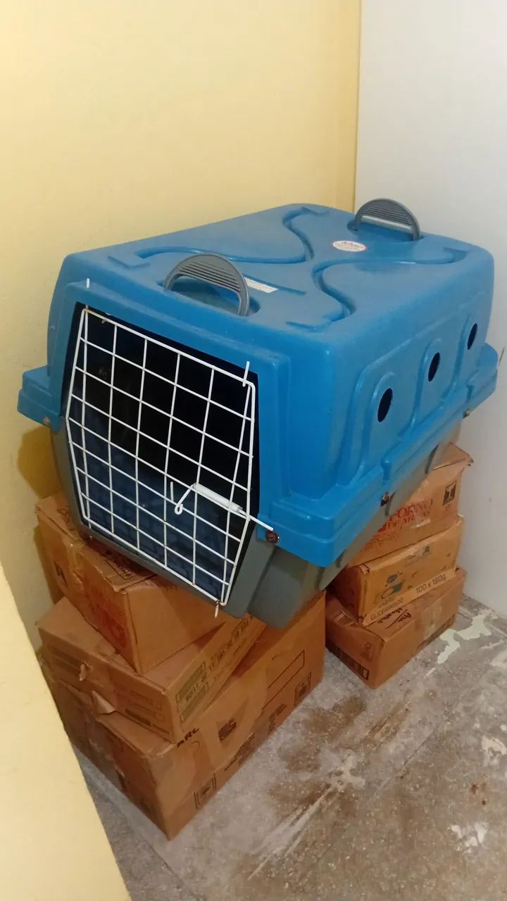 Caixa transporte pet grande