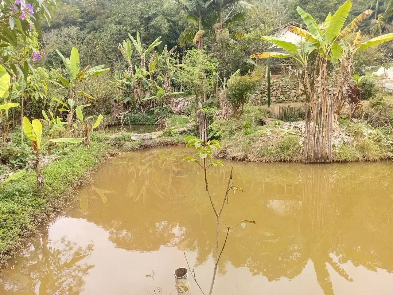 Chacara na Volta Fria Suzano - Foto 3