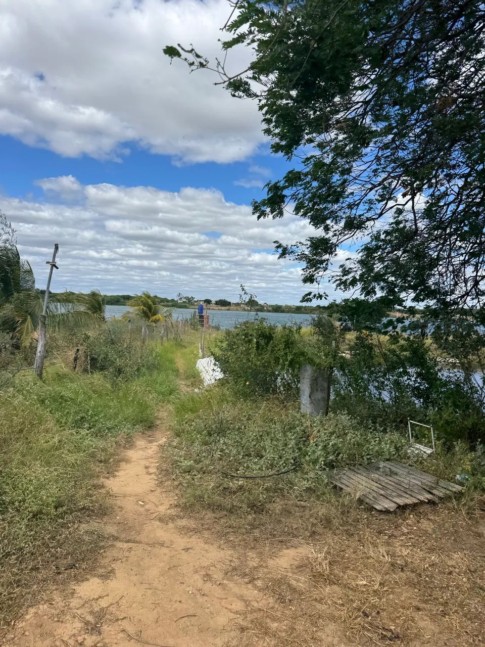 Terreno a venda - Foto 3