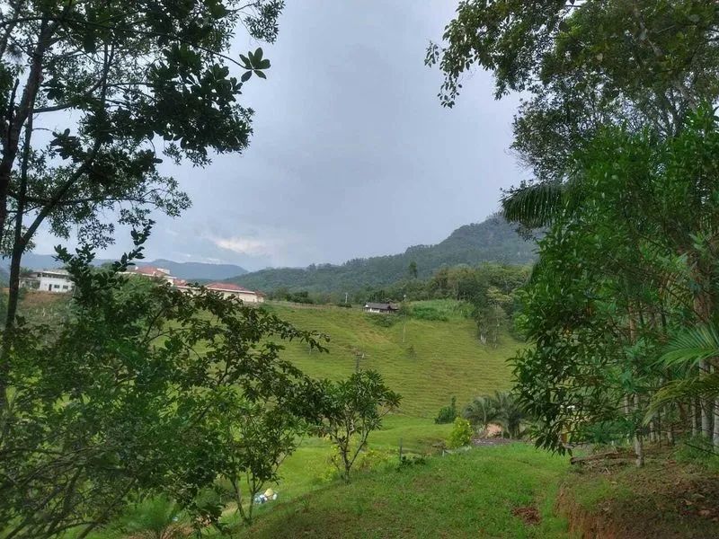Terreno BENEDITO NOVO - SC - Foto 5