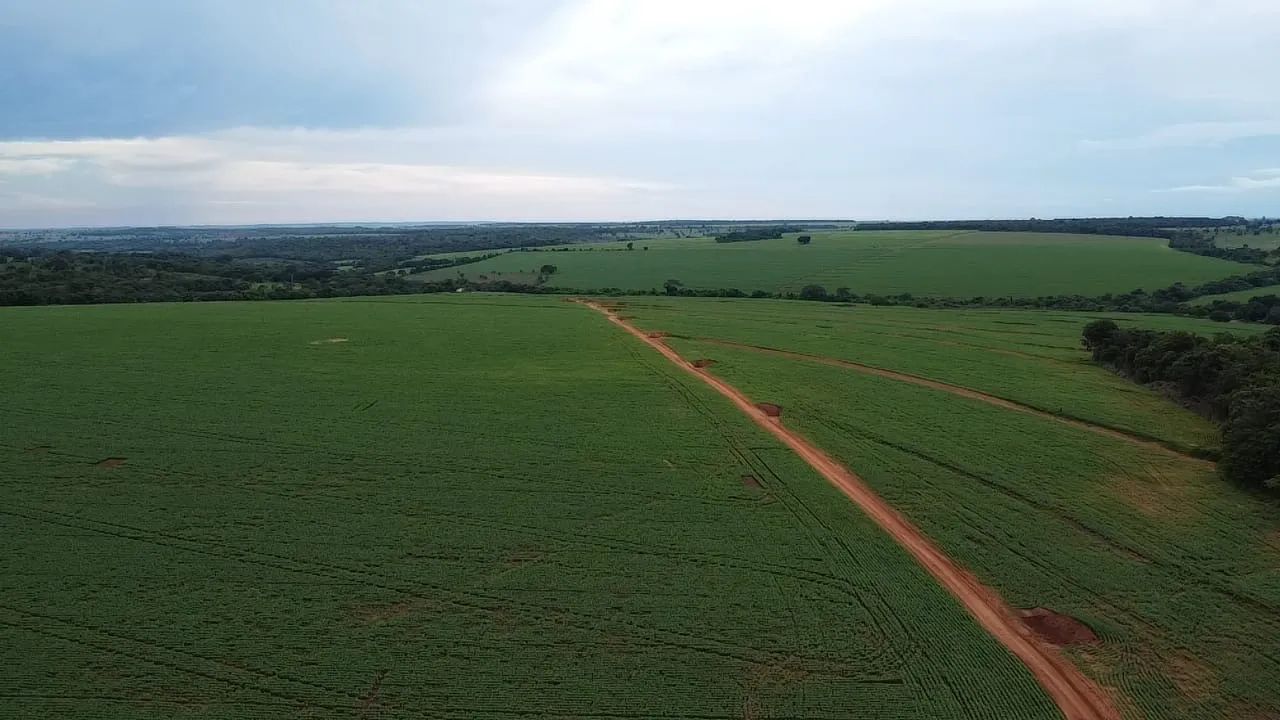 Fazenda de dupla aptidão - Foto 2