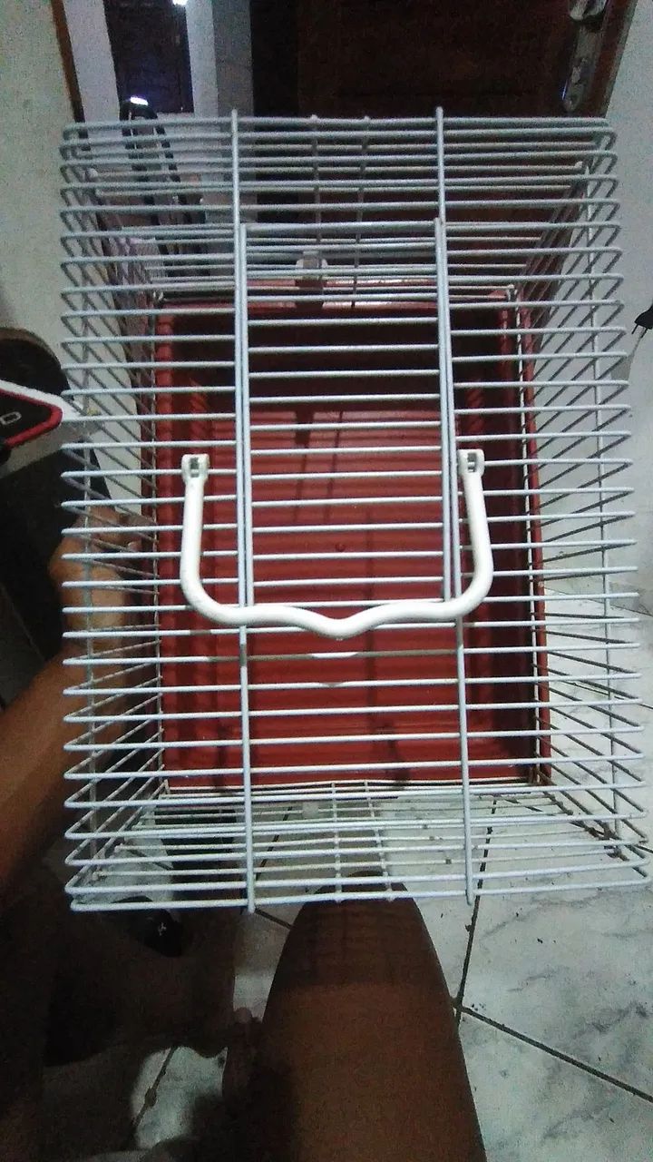Gaiola pequena - Foto 2