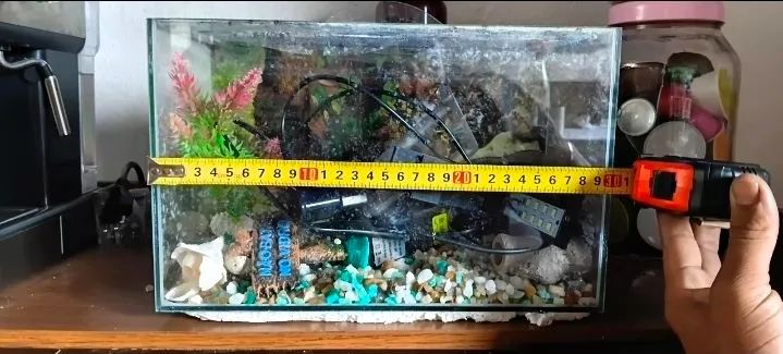 Aquario