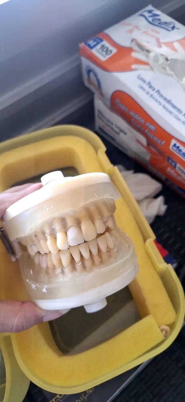 Manequim Periodontia Pronew - Foto 2