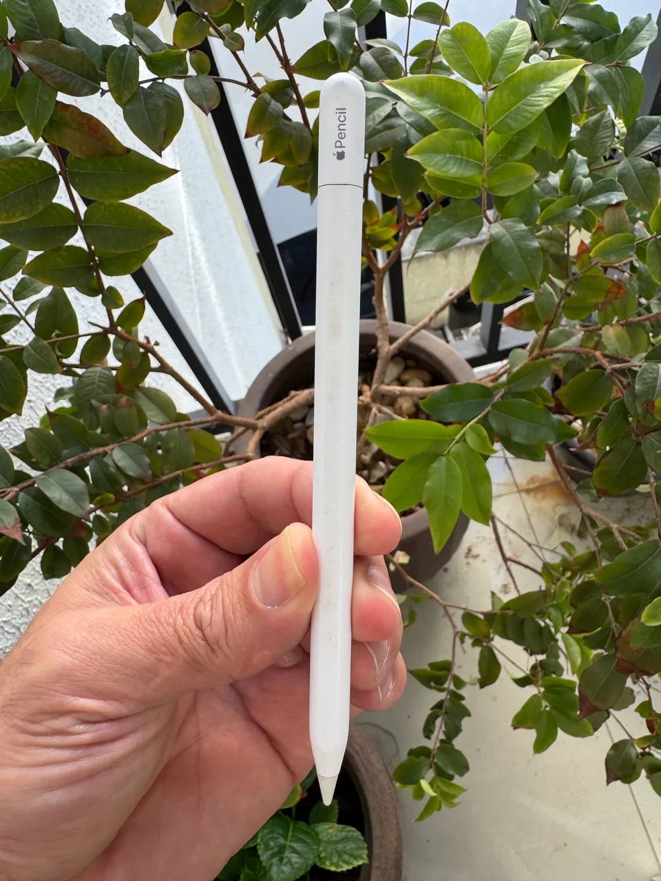 Apple Pencil USBC original 