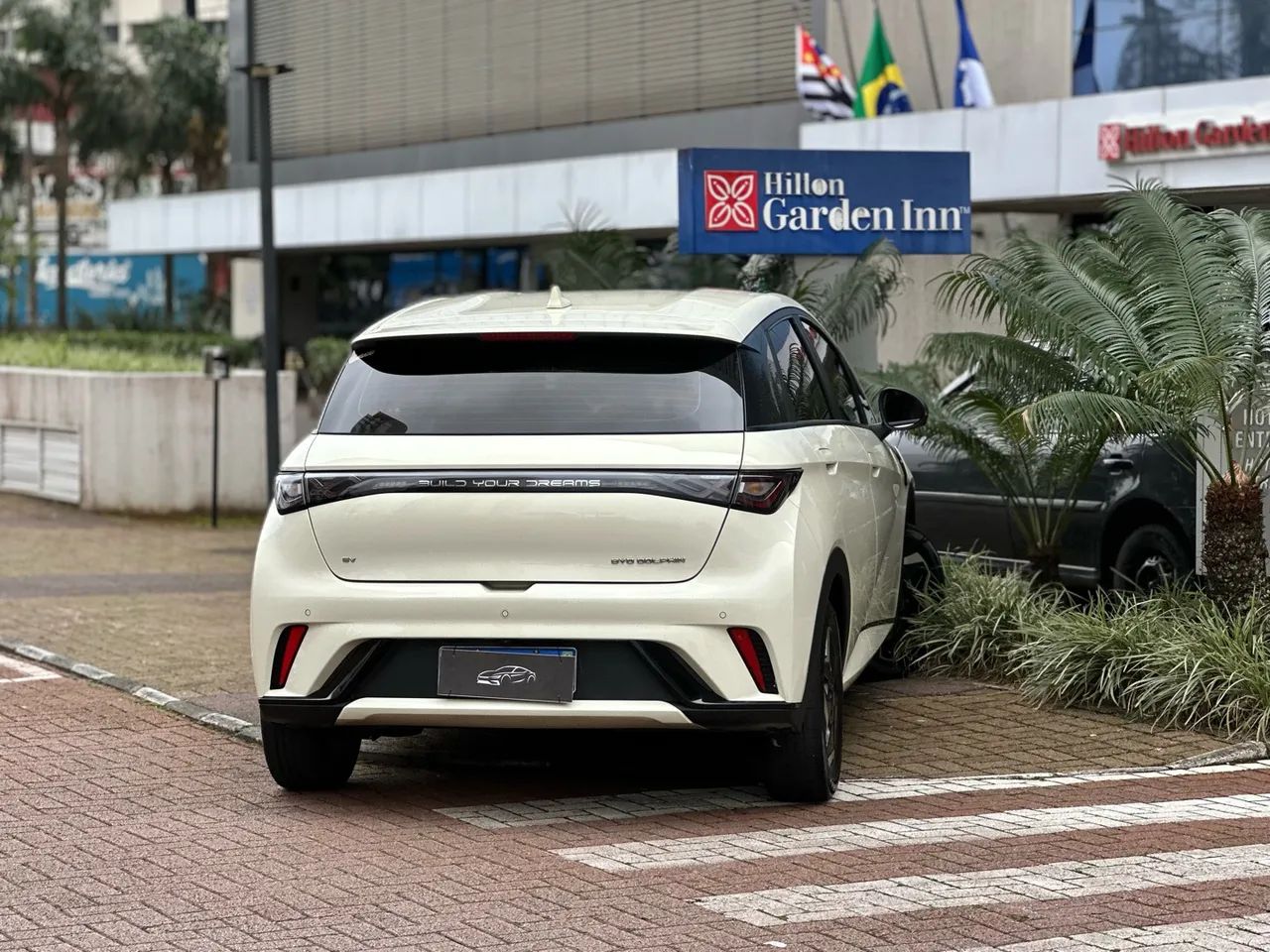 BYD Dolphin EV (Elétrico) 2024 - Foto 4