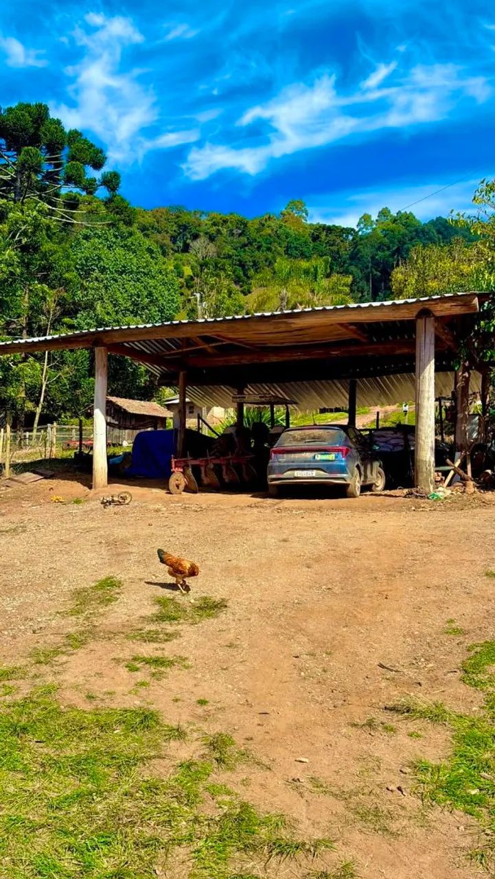Vende se chacara  - Foto 5