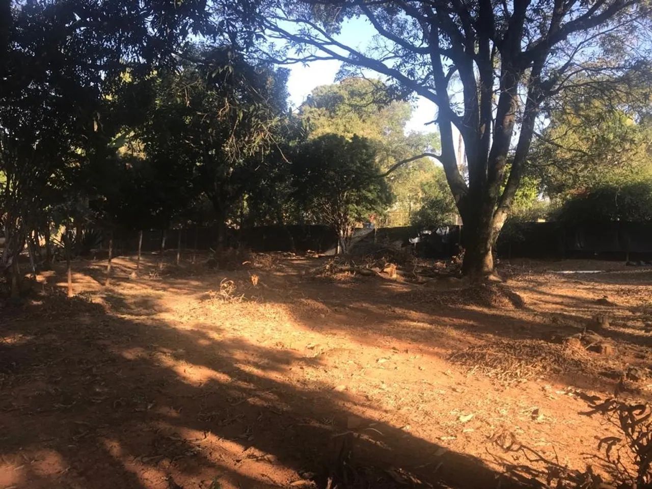Lote no Bairro Braunas - Foto 4
