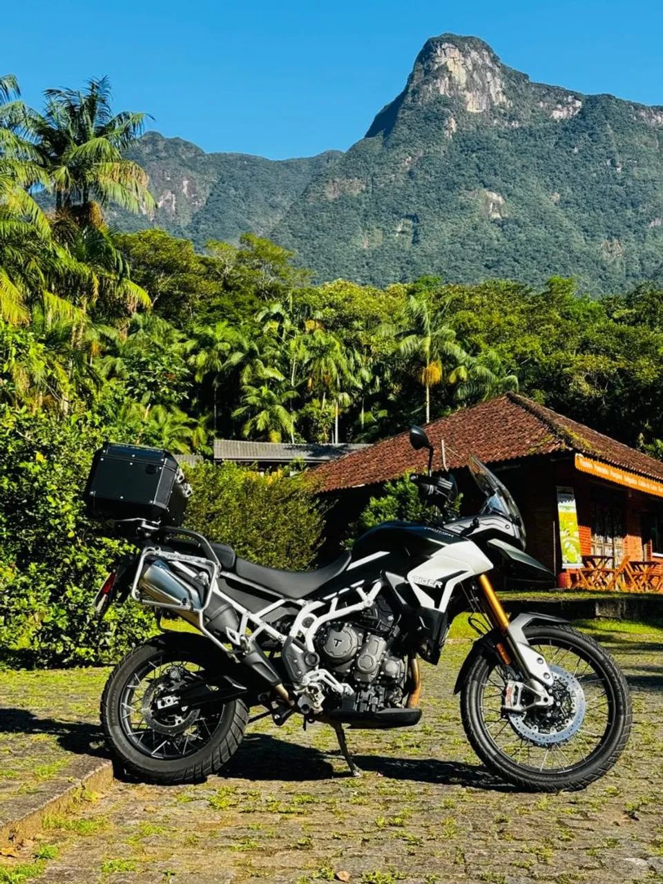 Tiger Nova - Foto 2