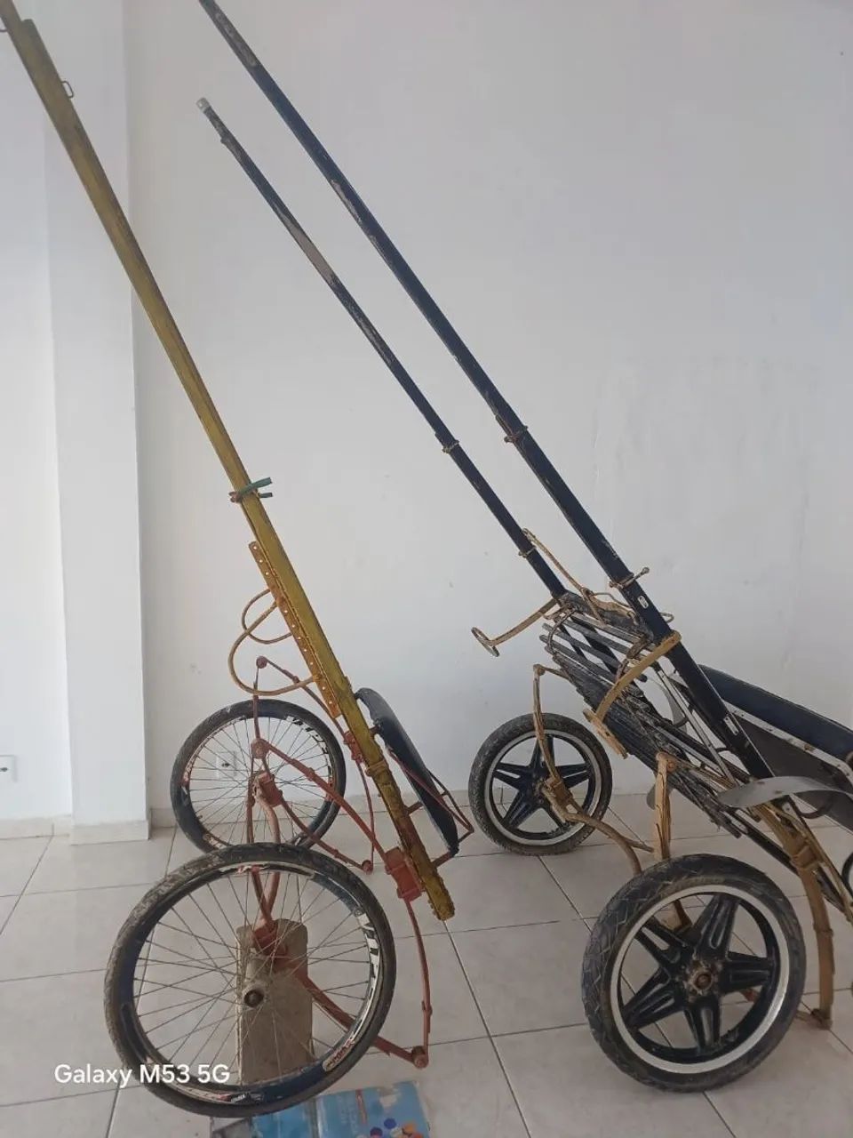 Cavalos - Foto 2