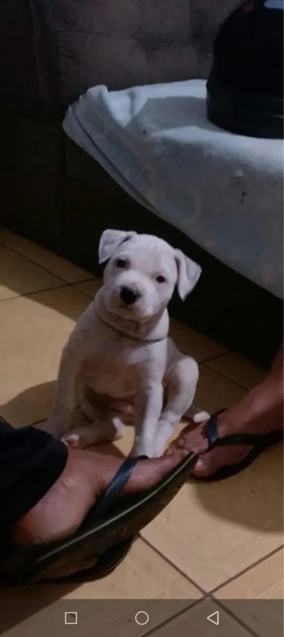 Pit monster 