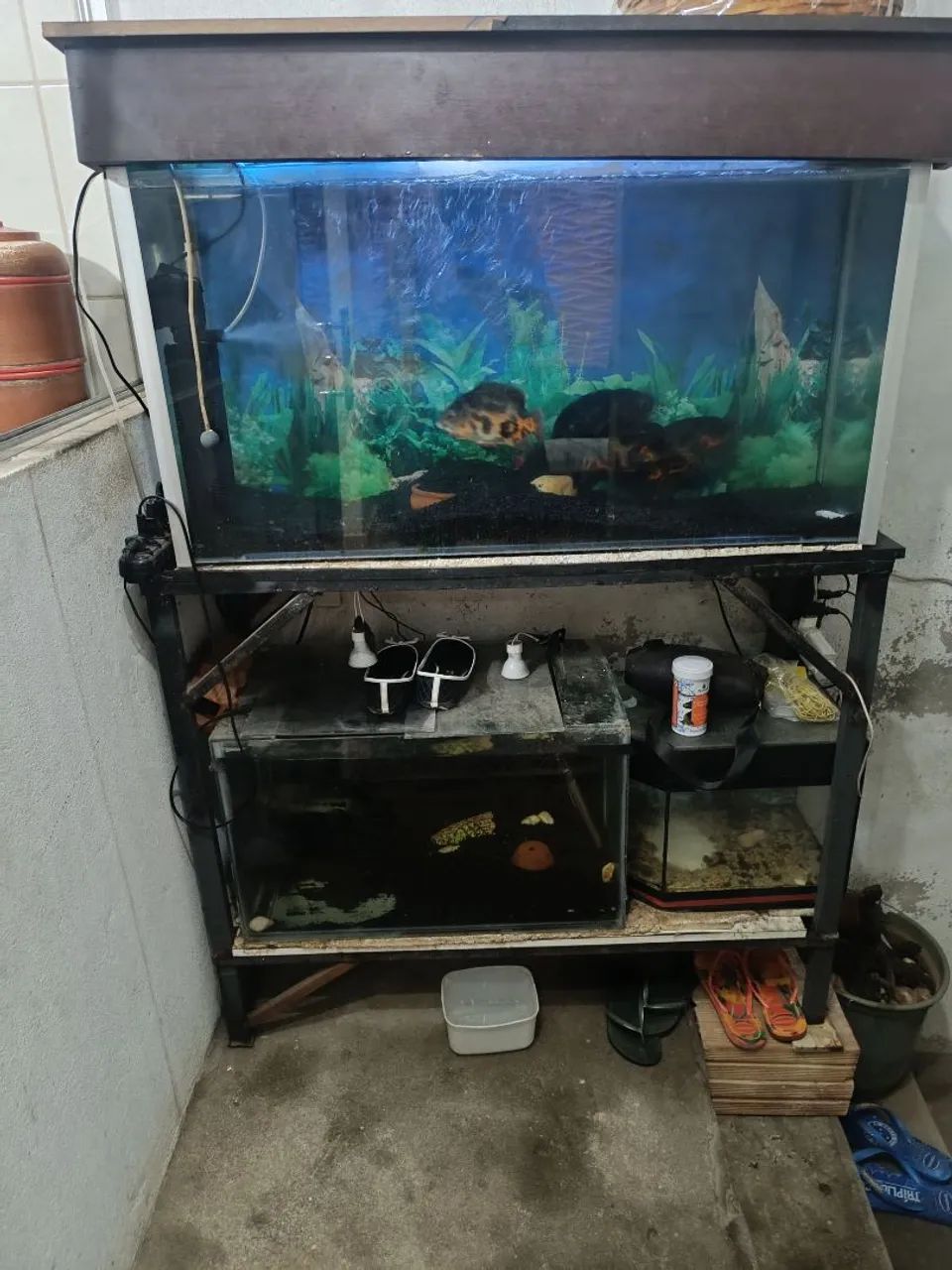 Vendo  - Foto 3