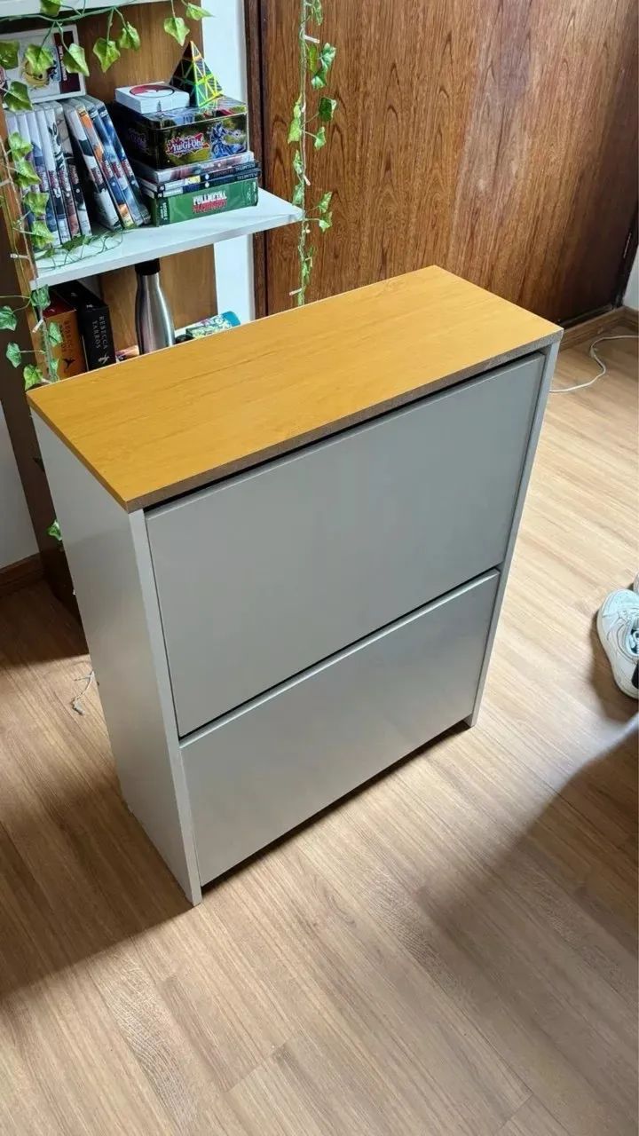 Sapateira - Foto 2