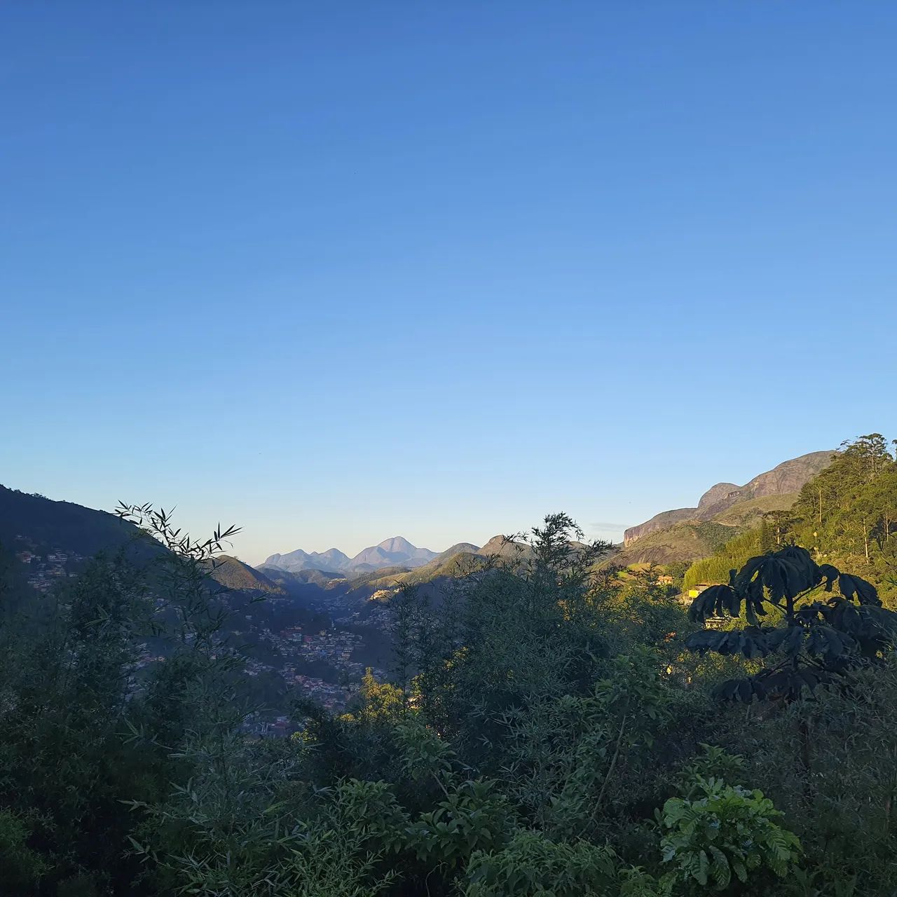 Foto - Petrópolis - Floresta