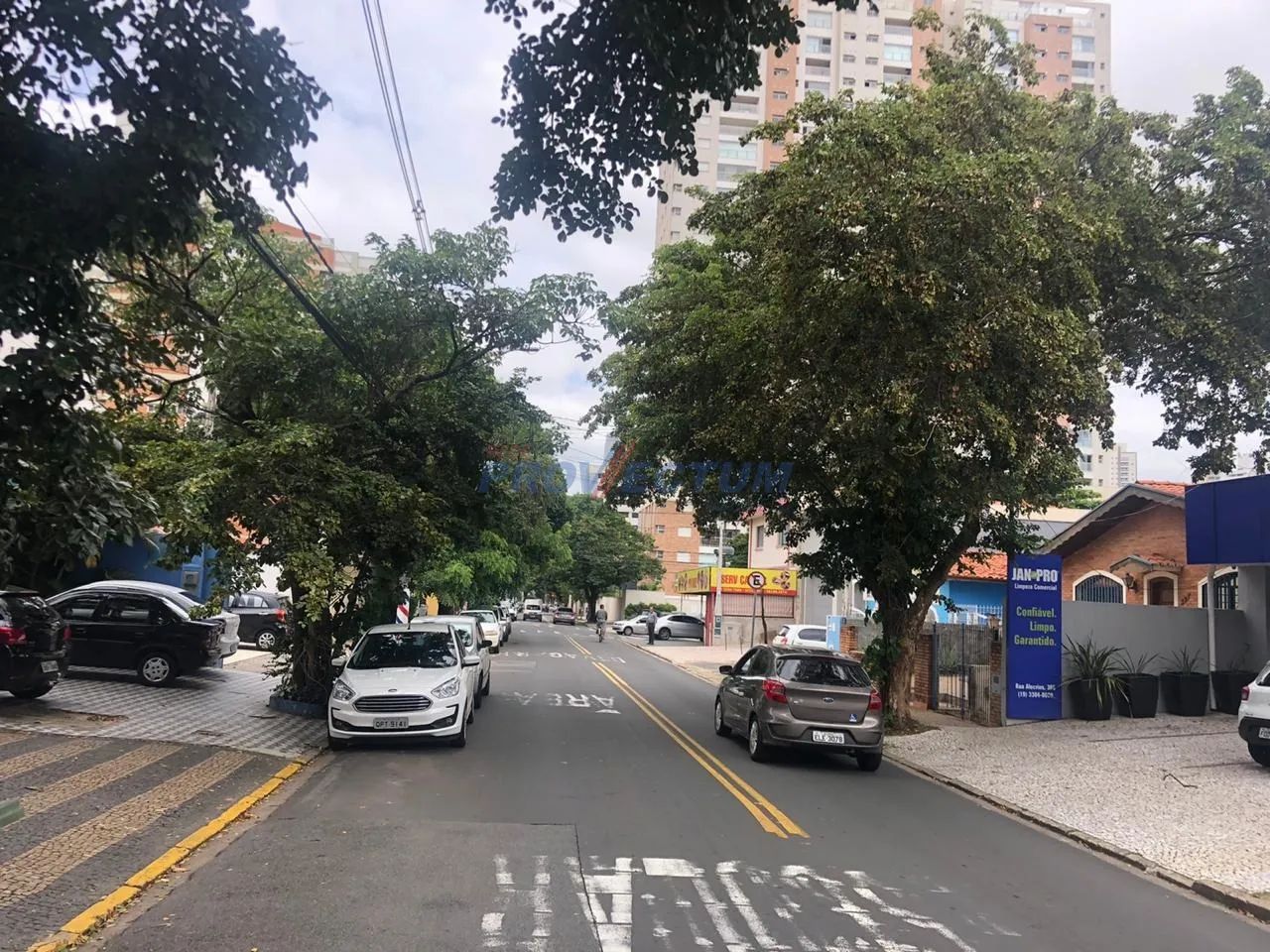 casa - Cambuí - Campinas - Foto 4