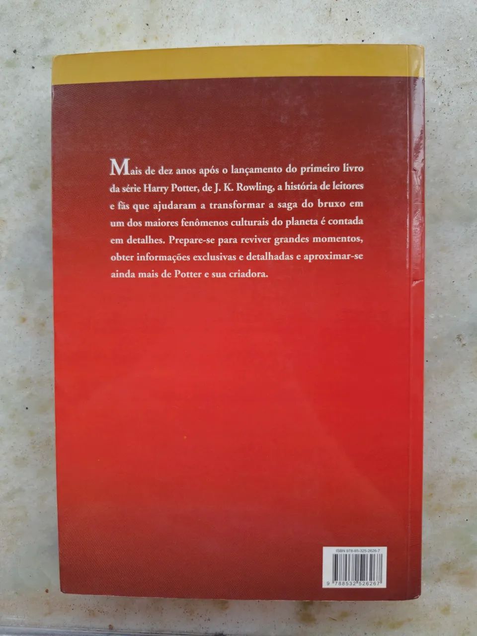 Harry Potter e seus Fãs - Foto 4