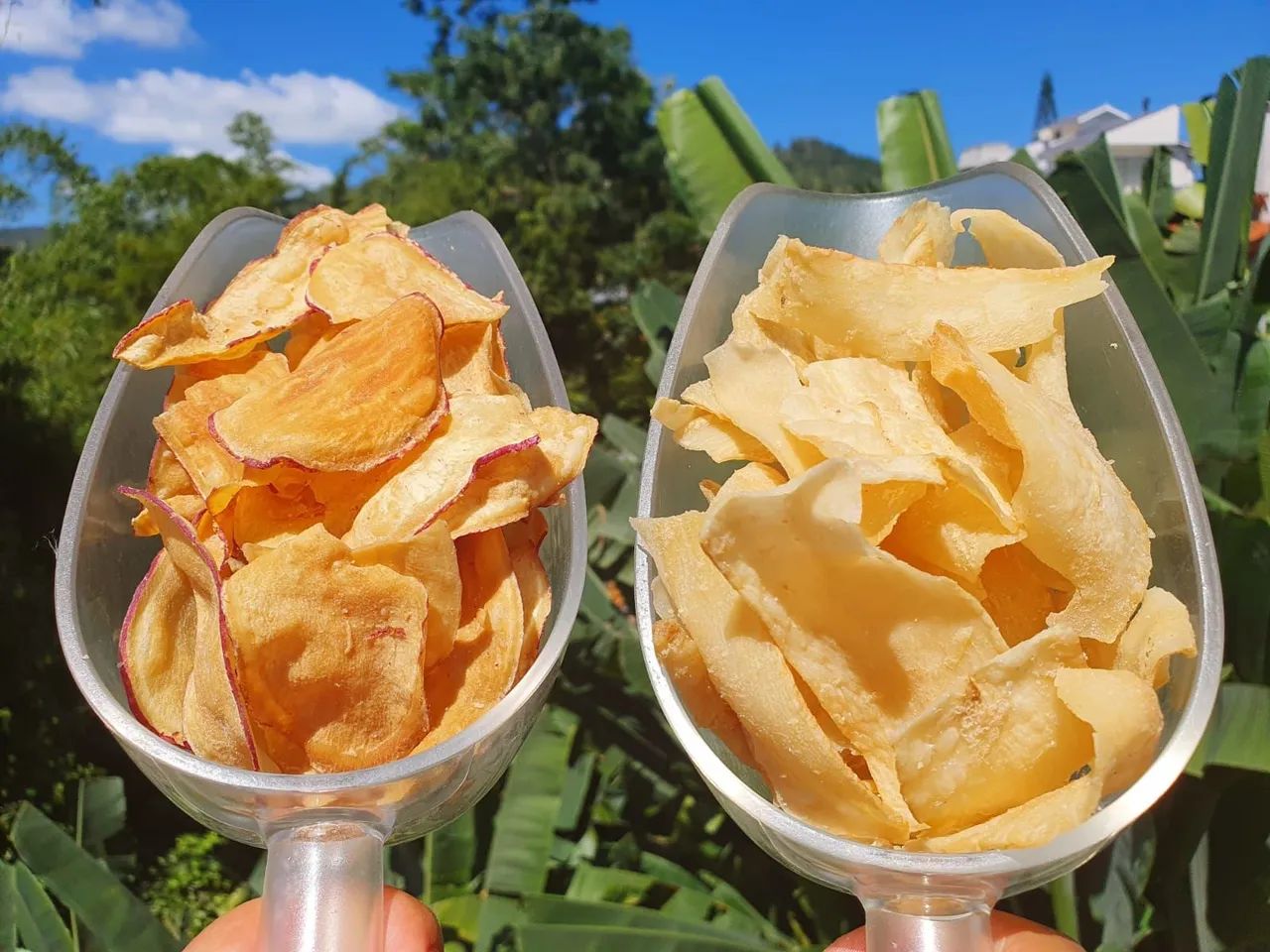 Chips de batata doce ou de aipim salgado - Foto 3