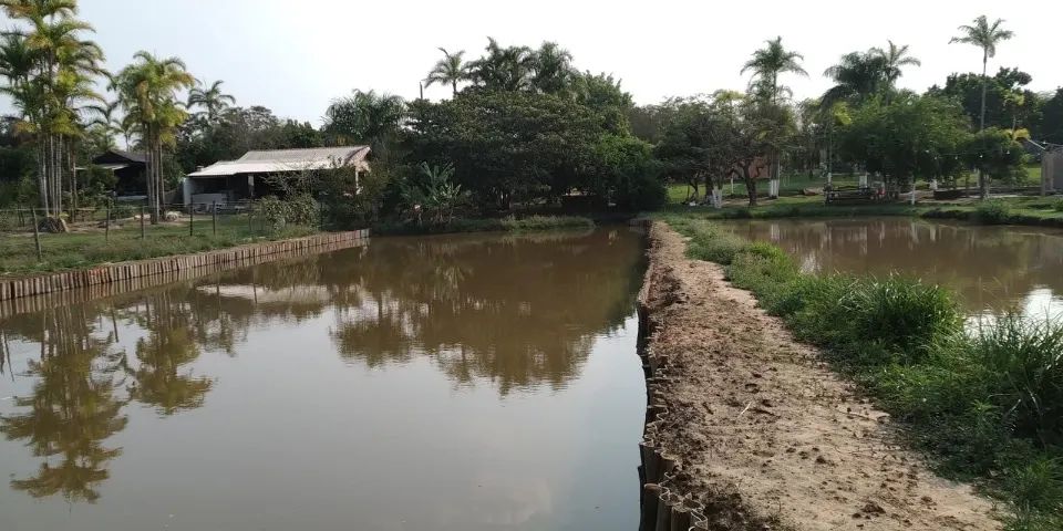 Chácara no Tibagi (Londrina/Pr) - Foto 3