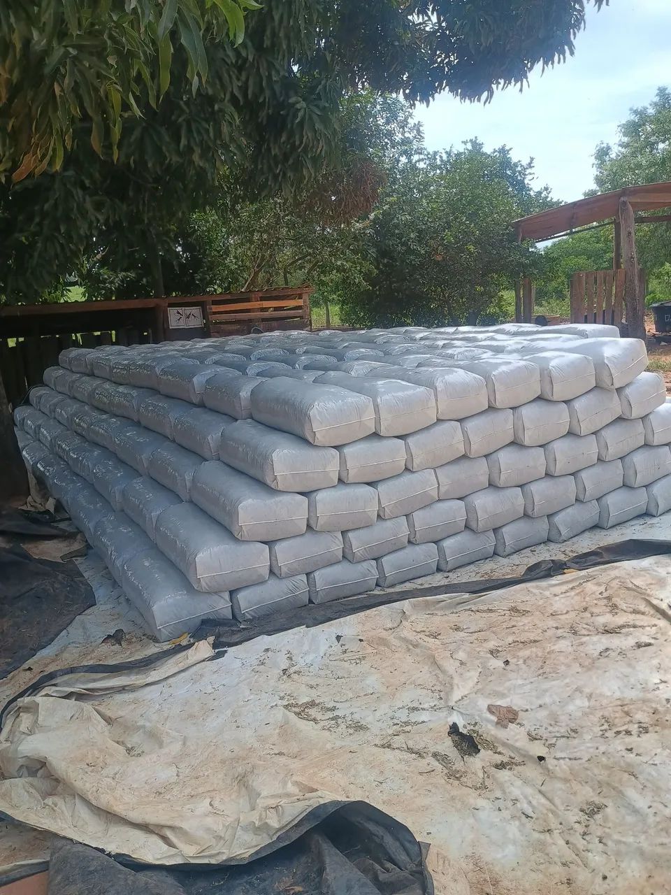 Vende se silagem ensacada  - Foto 3