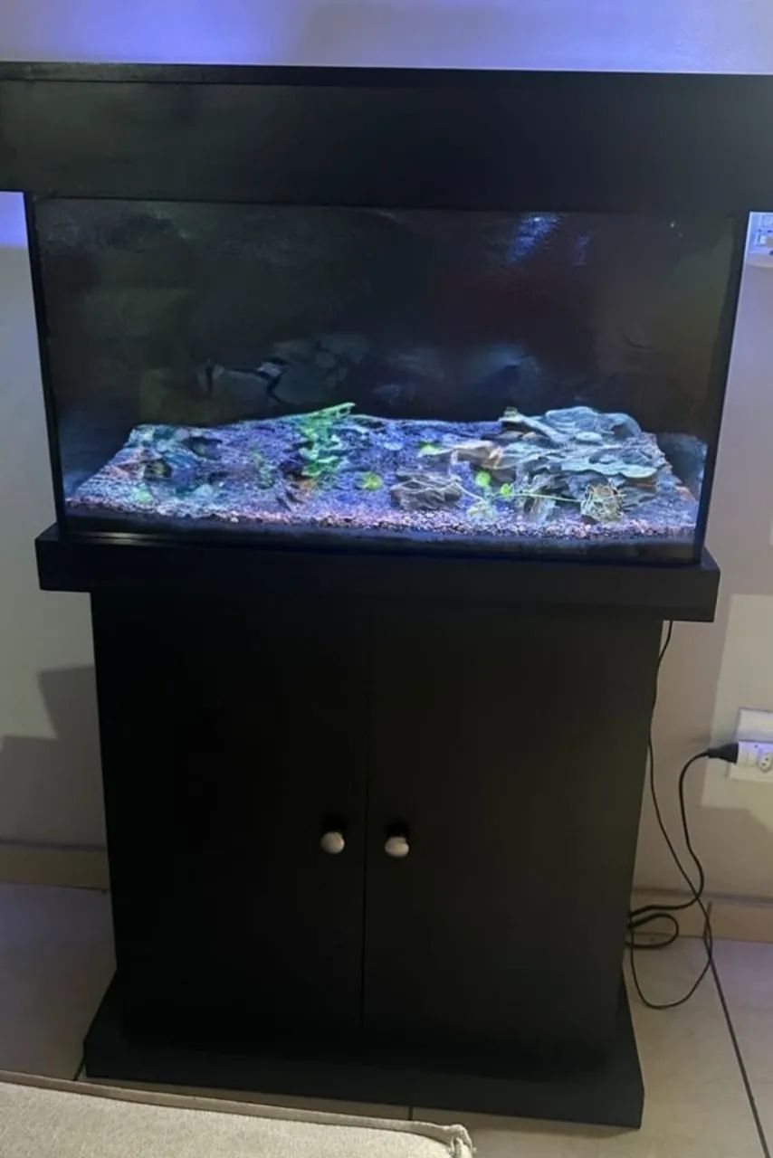 Aquário com móvel (84 litros) - Foto 2