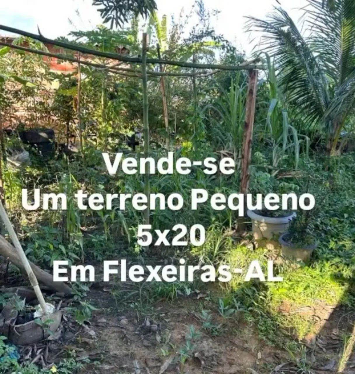 VENDE-SE ESTES TERRENOS
