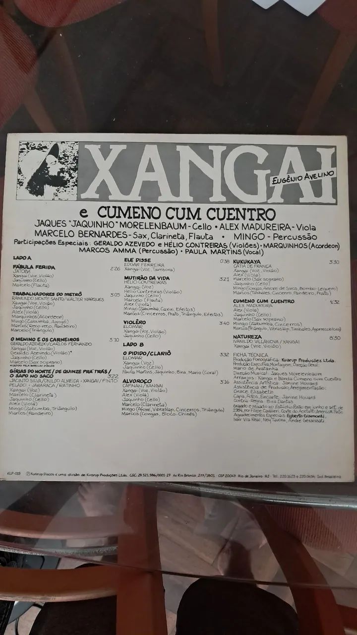 Vinil - Xangai Multirão da vida - Foto 2
