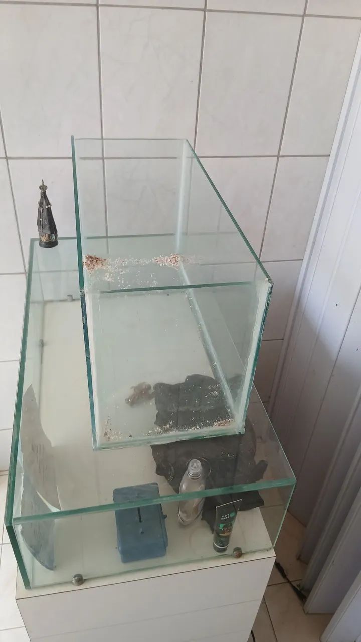 Aquário  - Foto 3