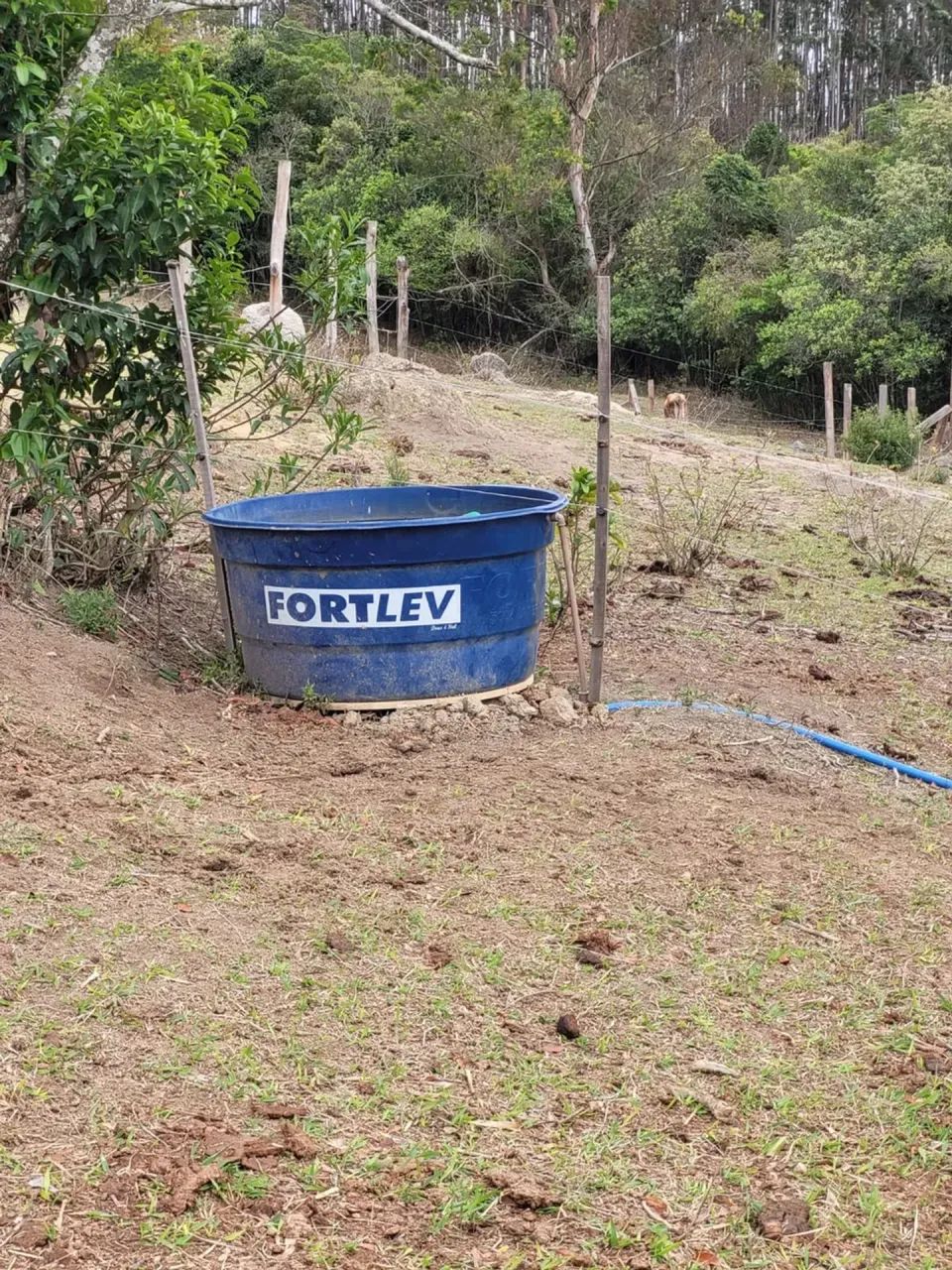 Sitio em Desterro de Entre Rios MG 2 hectares 20 mil metros 220 mil - Foto 14
