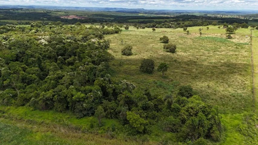  Chácara de 78 hectares em Jaraguari com córrego!! - Foto 3