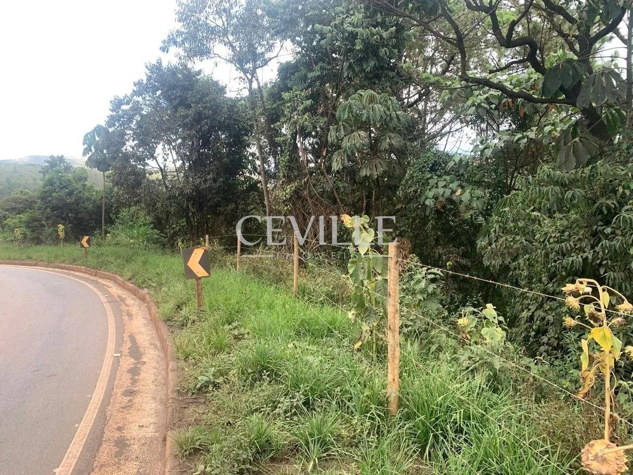 oportunidade de sitio a venda - Foto 8