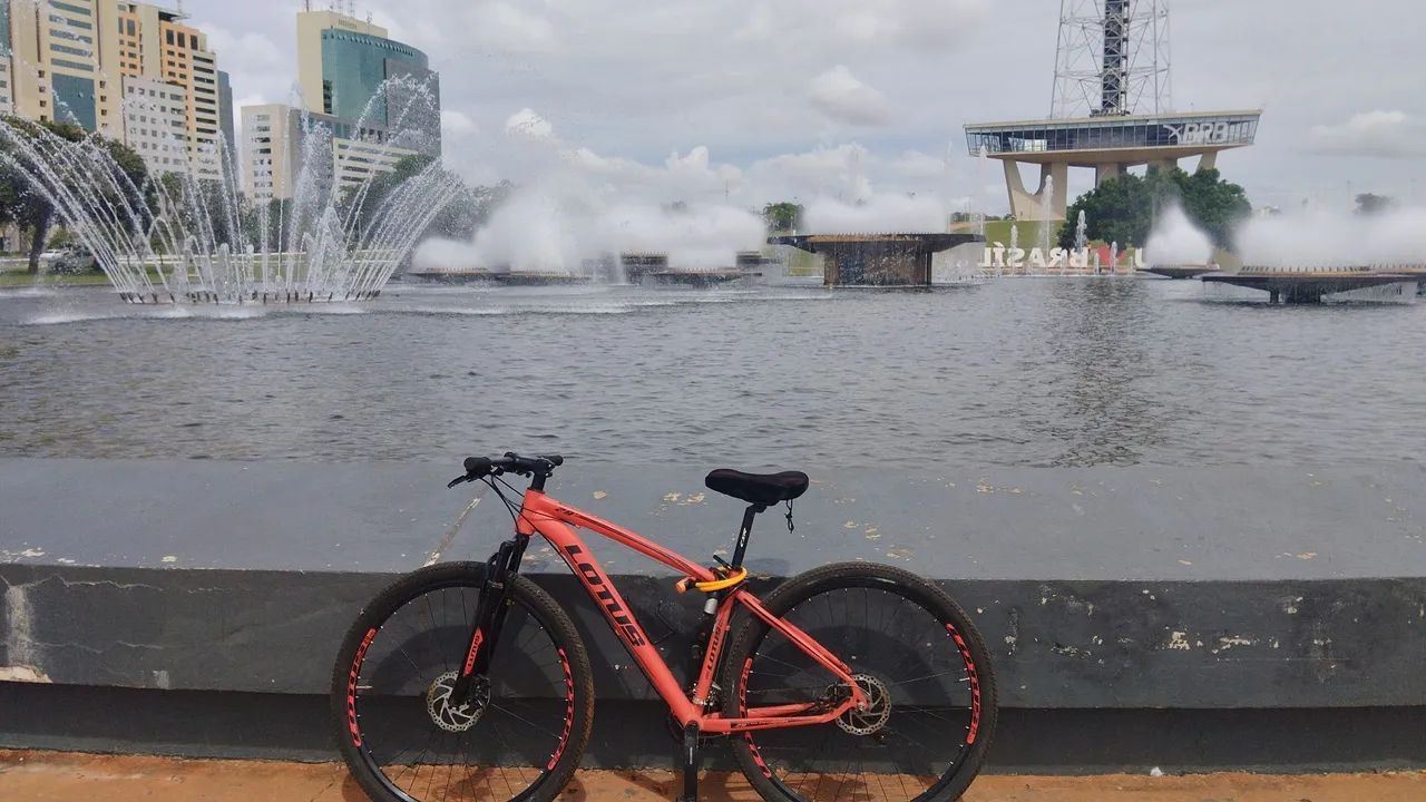 Bike lotus aro 29  