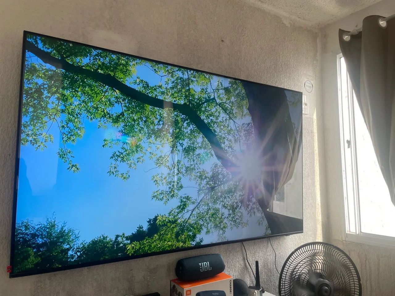Tv 65